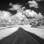 bw___Acres___Svica, Croatia.