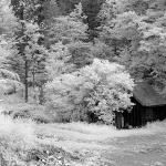 gkotarsumakucair1mal