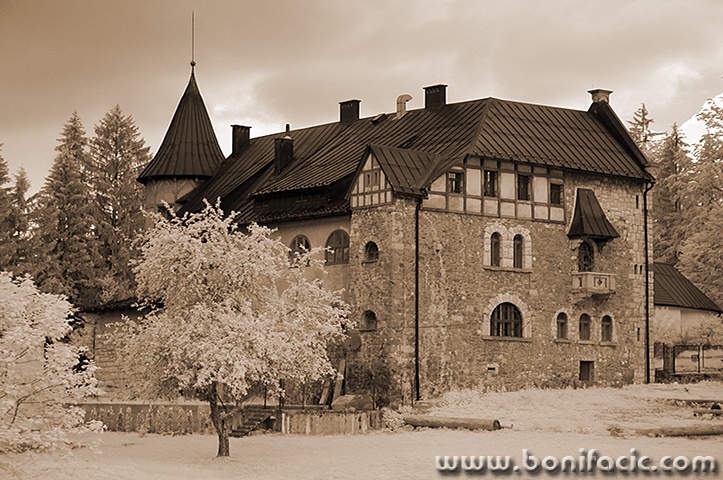 starasusicait4sepiamal