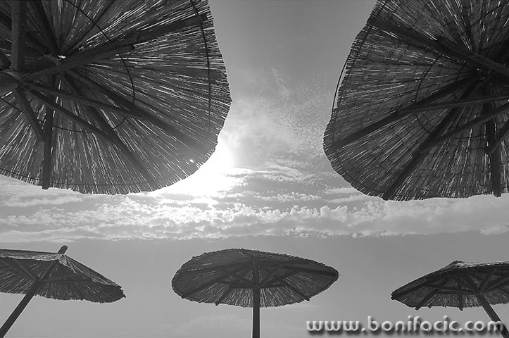 IMG_20220628_182359solarismobmal