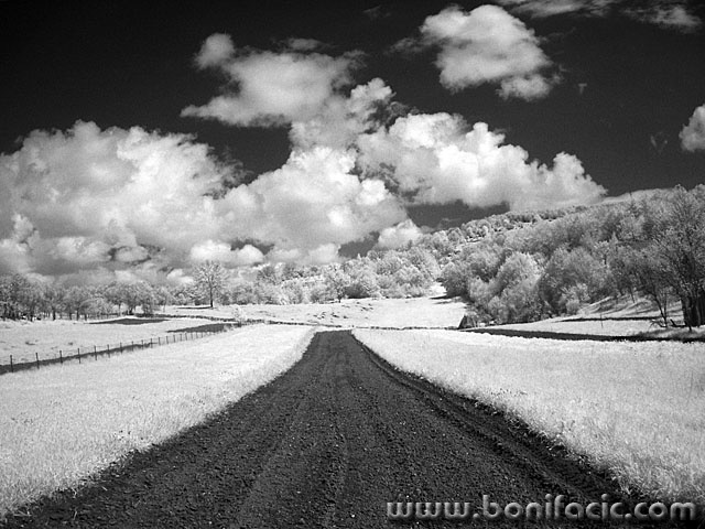 bw___Acres___Svica, Croatia.