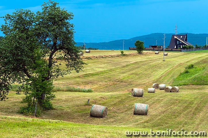 ljubosinabalekuca3mal
