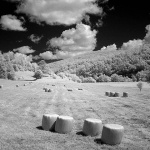 bw___Bales___Ljubosina, Croatia.