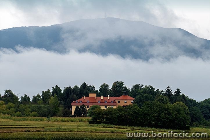 ivanscica2mal