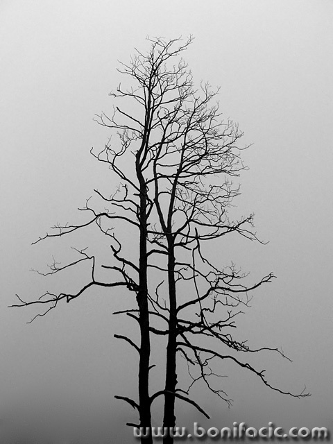 bw___Barrenness___Modrus, Croatia.