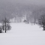 bw___Blizzard___Gorski Kotar, Croatia.