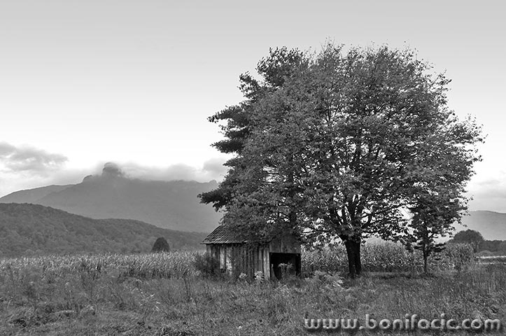 paklek3bwmal