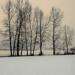 bw___Calm Winter Afternoon___Ogulin, Croatia.