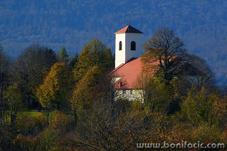 cerovnikcrikvasuma1mal