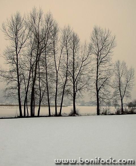 bw___Calm Winter Afternoon___Ogulin, Croatia.