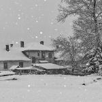 josipdollagersnig1bwmal