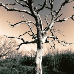 bw___Crazy___Klimno, Croatia.