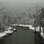 bw___Dobra___Luke, Croatia.