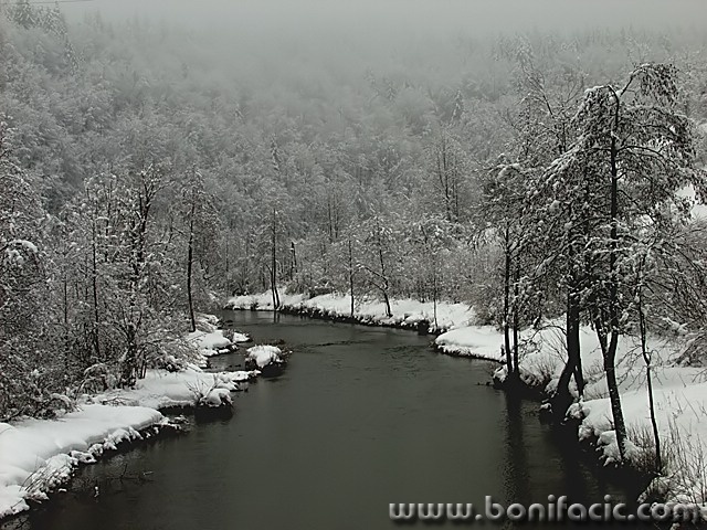 bw___Dobra___Luke, Croatia.