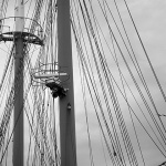 kraljicamorazadar1mal