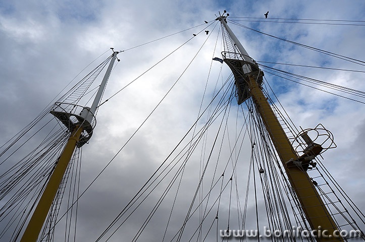 kraljicamorazadar2mal