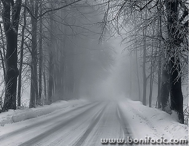 bw___Empty Road___Bjelolasica, Croatia.