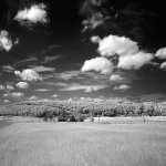 bw___Farm In Field___Kompolje, Croatia.
