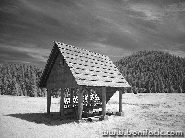 bw___Feeder___National Park Risnjak, Croatia.