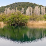 npkrka31mal