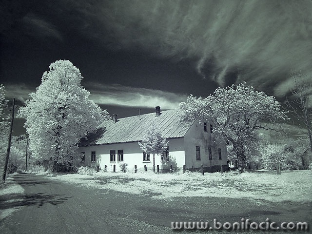 bw___Forester___Modrus, Croatia.