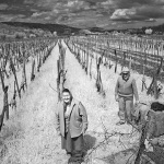 bw___Grape-Grovers___Vrbnik, Croatia.
