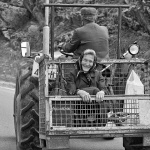 bw___Grin___Brinje, Croatia.