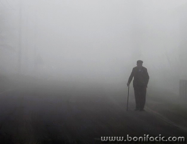 bw___Fog___Krizpolje, Croatia.