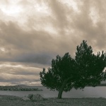 bw___Hard Life___Punat, Croatia.