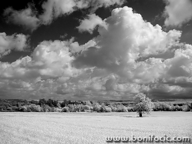 bw___Heavy Sky___Istra, Croatia.