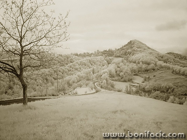 bw___Hill___Modrus, Croatia.