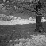 bw___In Shade___Mrzla Vodica, Croatia.