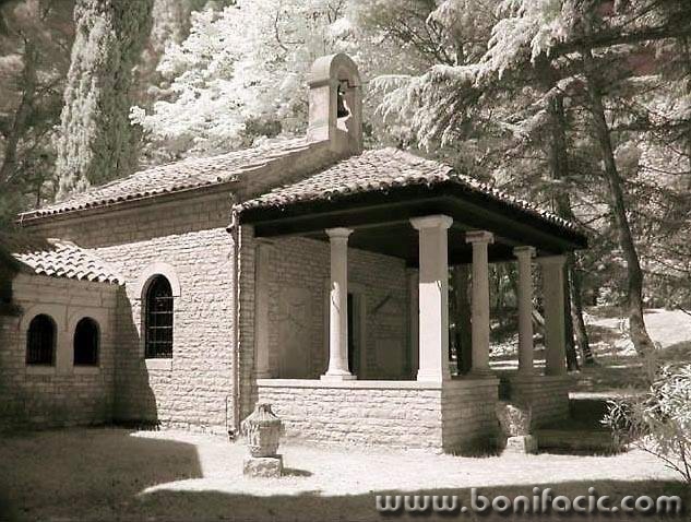 bw___In The Jungle___Brijuni, Croatia.