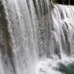 jajce36mal