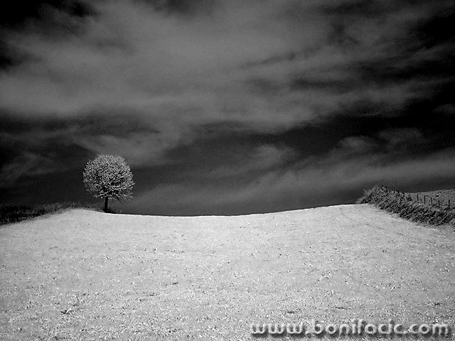 bw___Incumbent___Kordun, Croatia.