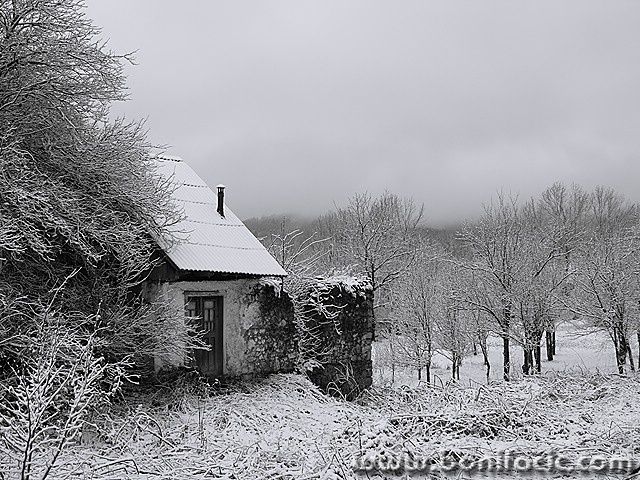 bw___Isolation___Modrus, Croatia.