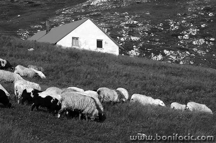 durm59bwmal