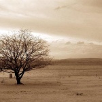 bw___Lone___Punat, Croatia.