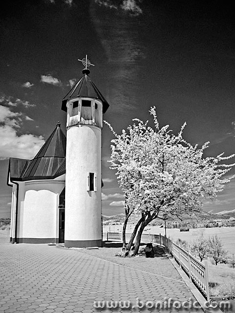 bw___Little One___Podgora, Slovenia.