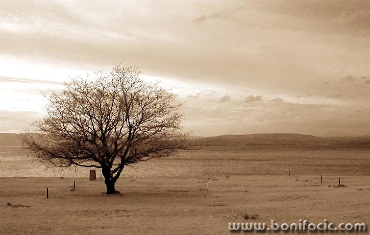 bw___Lone___Punat, Croatia.