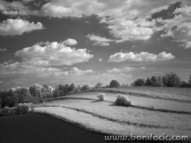bw___Luminous Lnadscape___Zvecaj, Croatia.