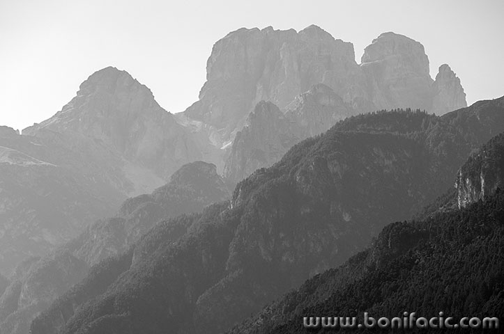 dol54BWmal