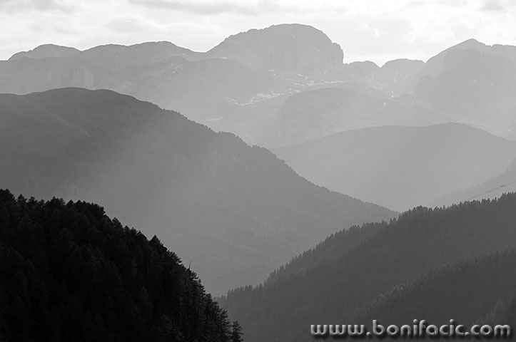 dol54BWmal
