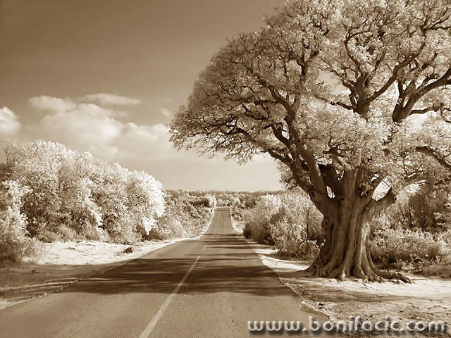 bw___Misusajnica___Vrbnik, Croatia.