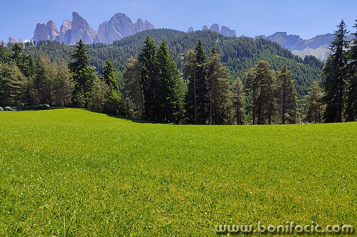 dolomiti.8mal
