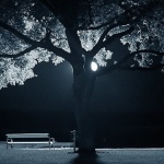 bw___Night___Punat, Croatia.