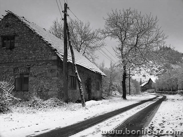 bw___Modrus___Modrus, Croatia.