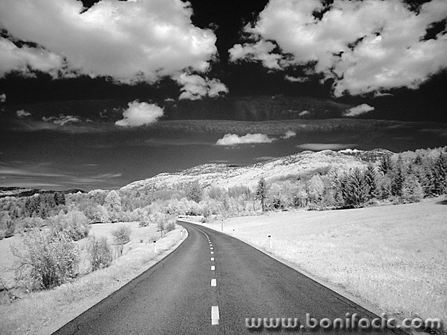 bw___My Way___Babno Polje, Slovenia.