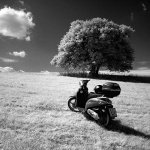 bw___Rase___Brinje, Croatia.