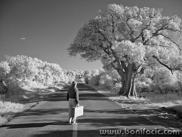 bw___Pitch Upon___Vrbnik, Croatia.